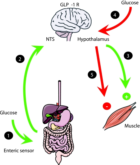 FIG. 7.