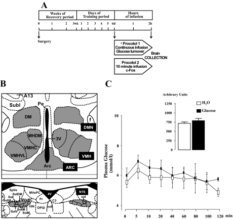 FIG. 1.