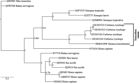 Fig. 8.