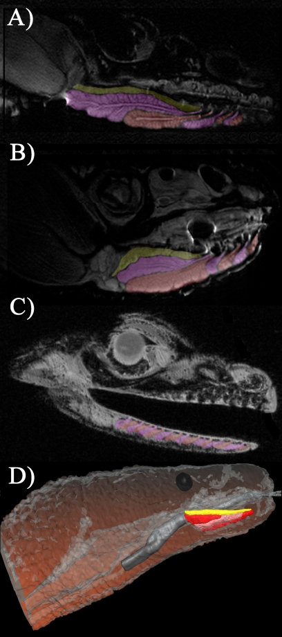 Fig. 14.