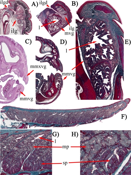 Fig. 15.