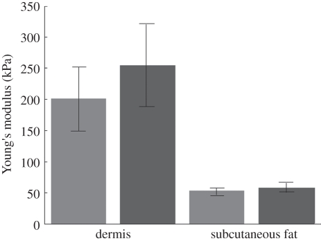 Figure 12.