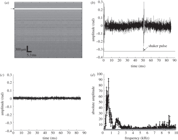 Figure 2.