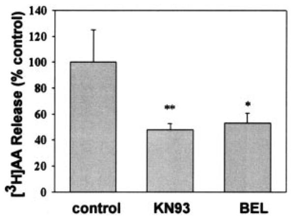 Fig. 11