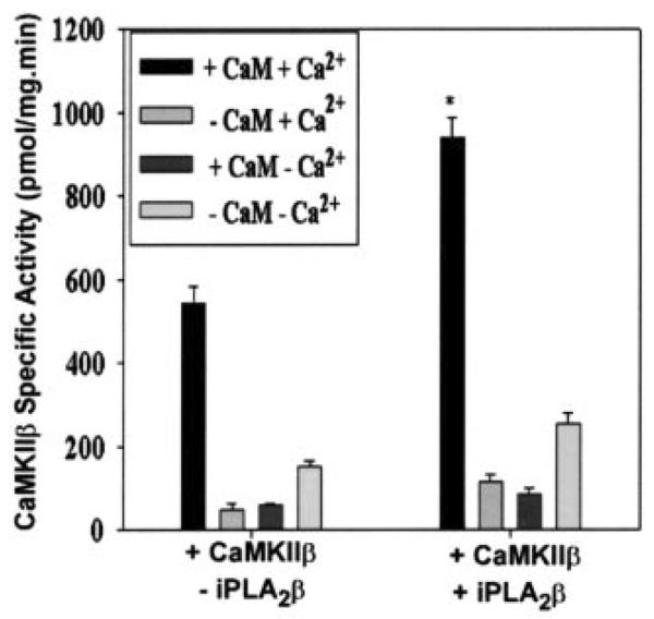 Fig. 9