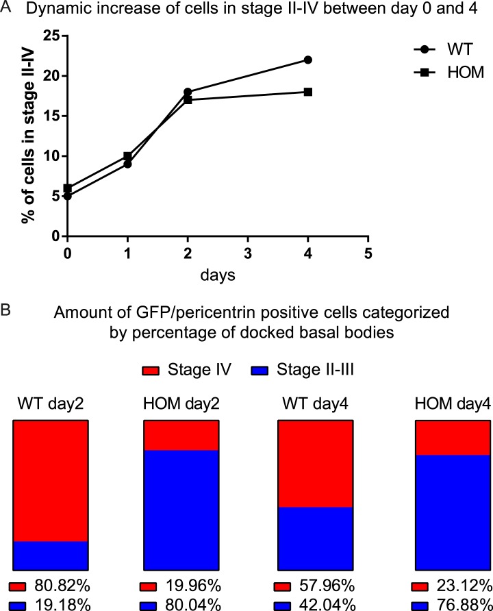 Figure 4—figure supplement 1.