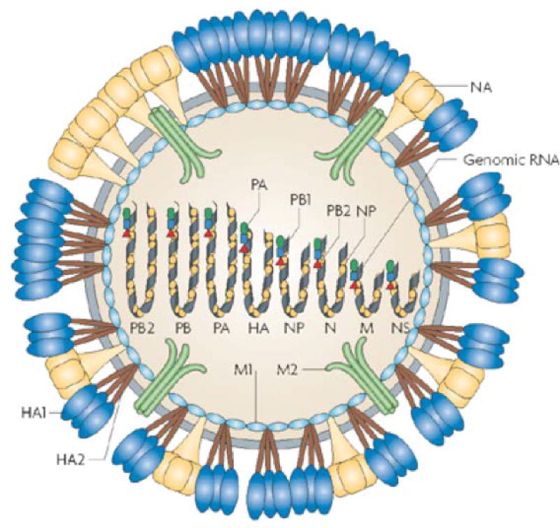 Figure 7