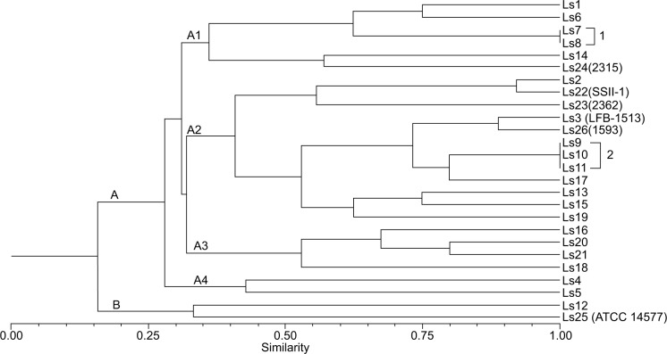 Figure 1