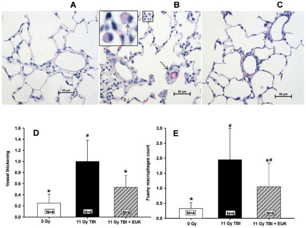 FIG. 7