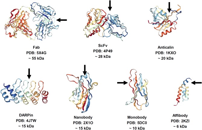 FIGURE 1