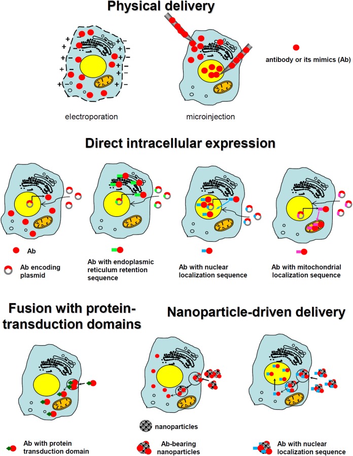 FIGURE 2