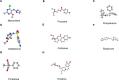 Fig. 10