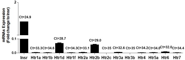 Fig 2