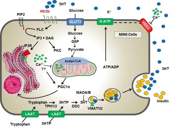 Fig 6