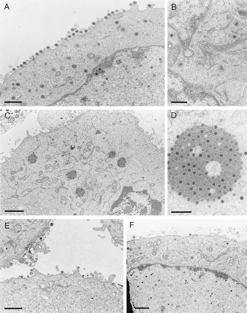 FIG. 8