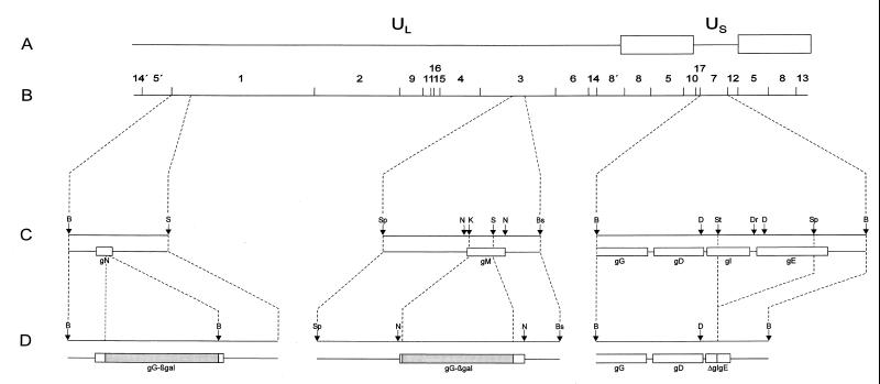 FIG. 1