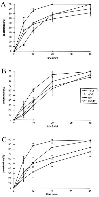 FIG. 6