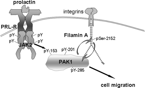 Figure 7.