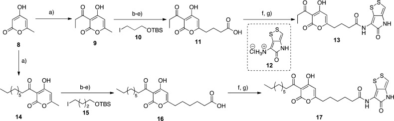 Scheme 1