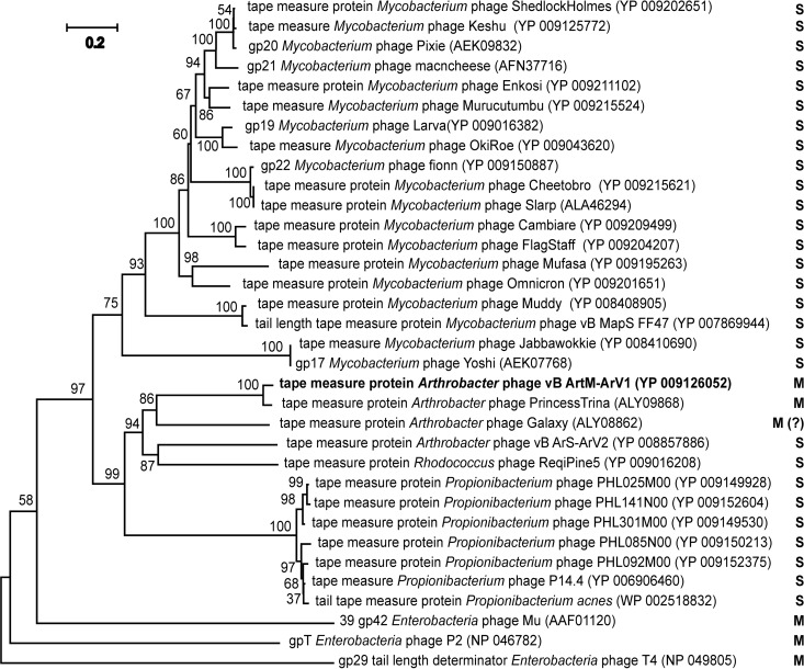 FIG 12