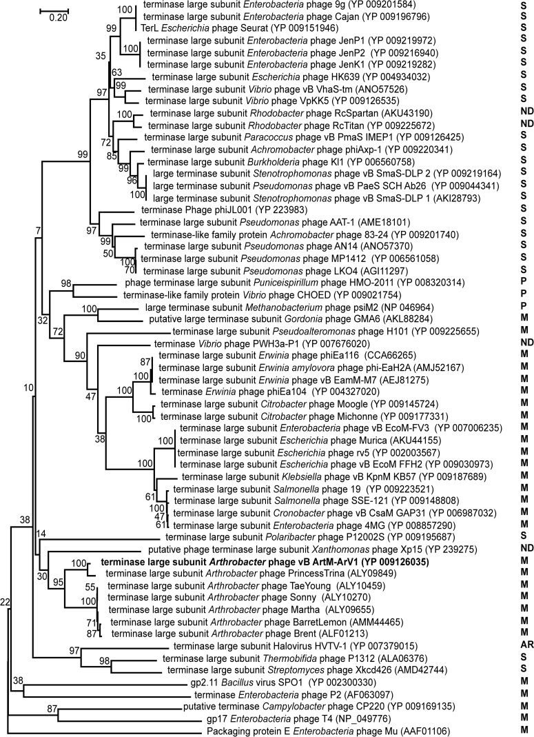 FIG 6