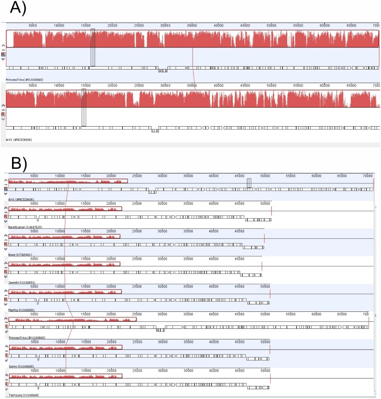 FIG 10