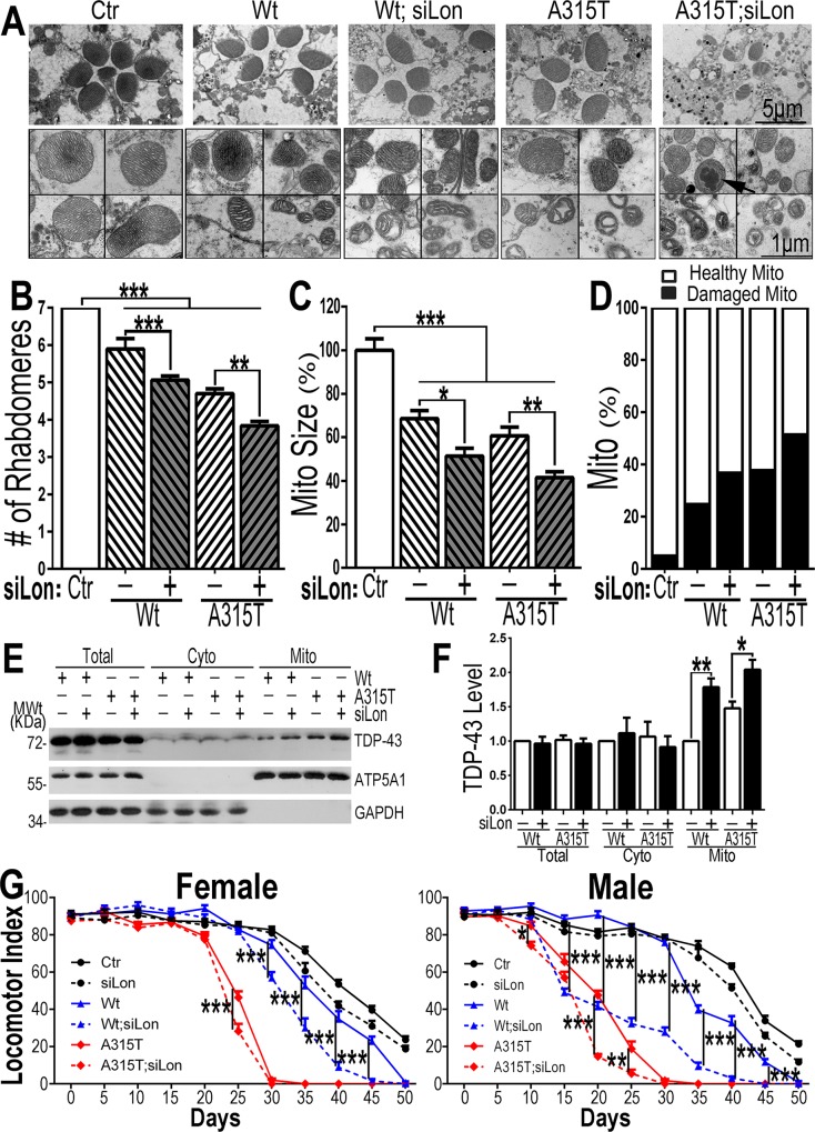 Fig 8