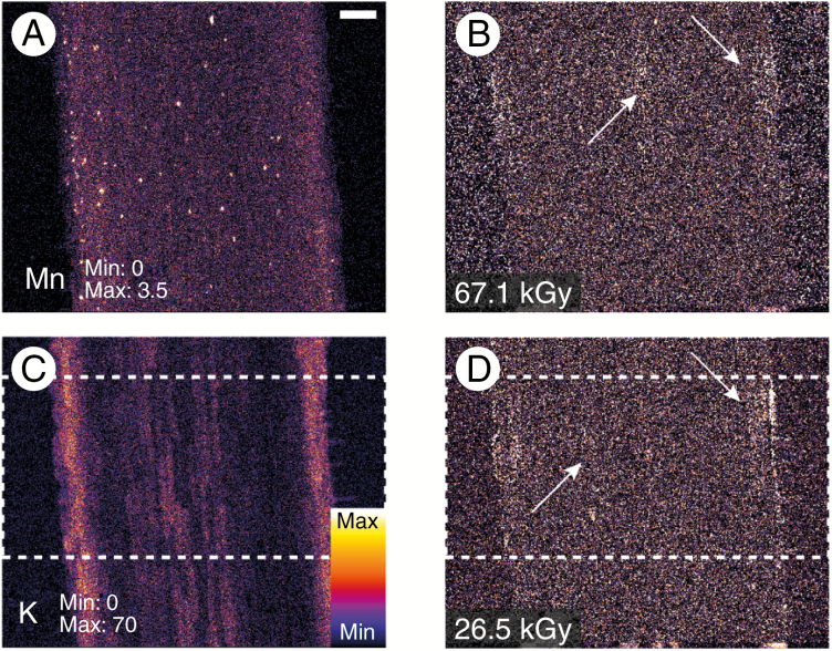 Fig. 6.