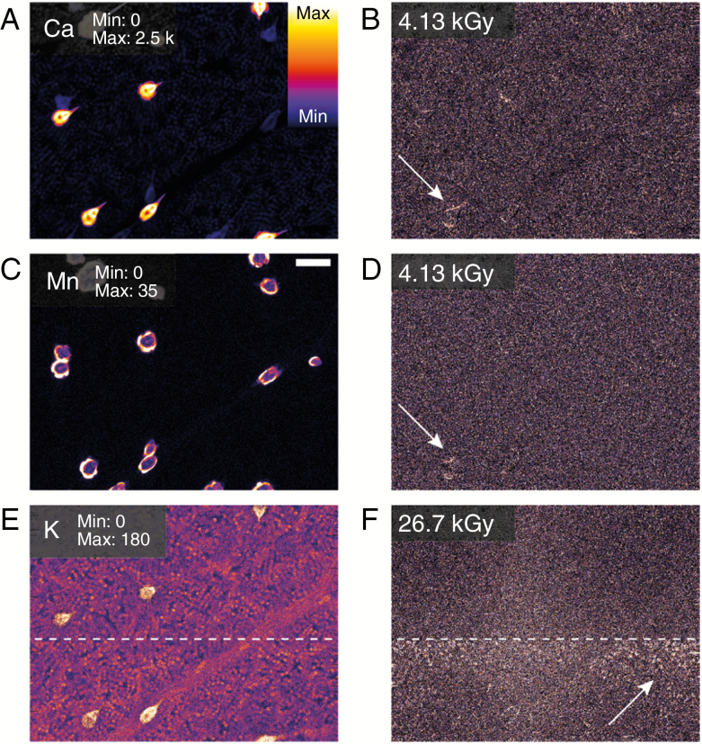 Fig. 4.