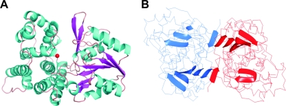 FIG. 2.