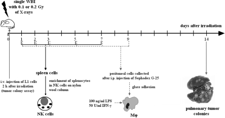 FIGURE 1.