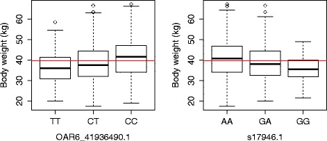 Fig. 6