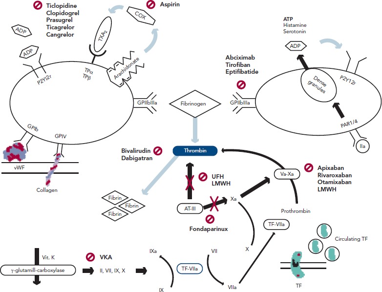 Figure 1: