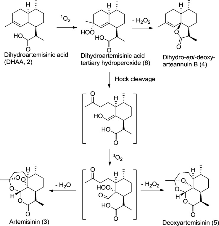 Scheme 2