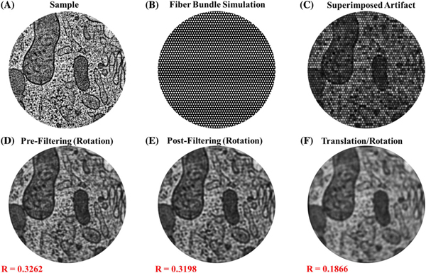 Fig. 2.