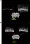 Fig. 9