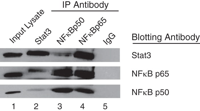 FIGURE 5.