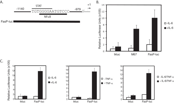 FIGURE 6.