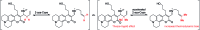 Scheme 3