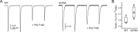 Figure 8—figure supplement 1.