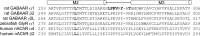 Figure 1—figure supplement 1.