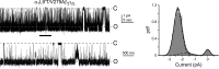 Figure 7—figure supplement 1.