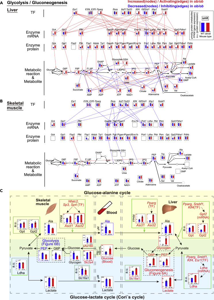 Figure 6