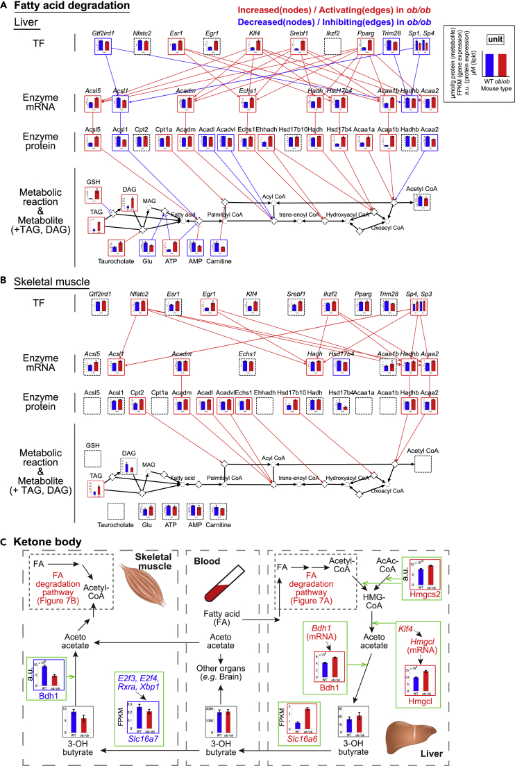 Figure 7