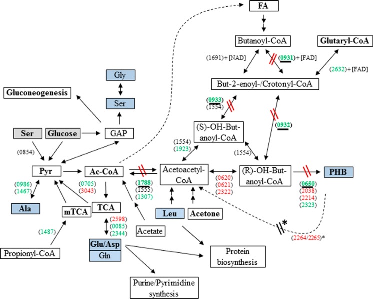 FIGURE 1.