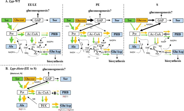 FIGURE 7.