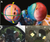 Fig. 1.
