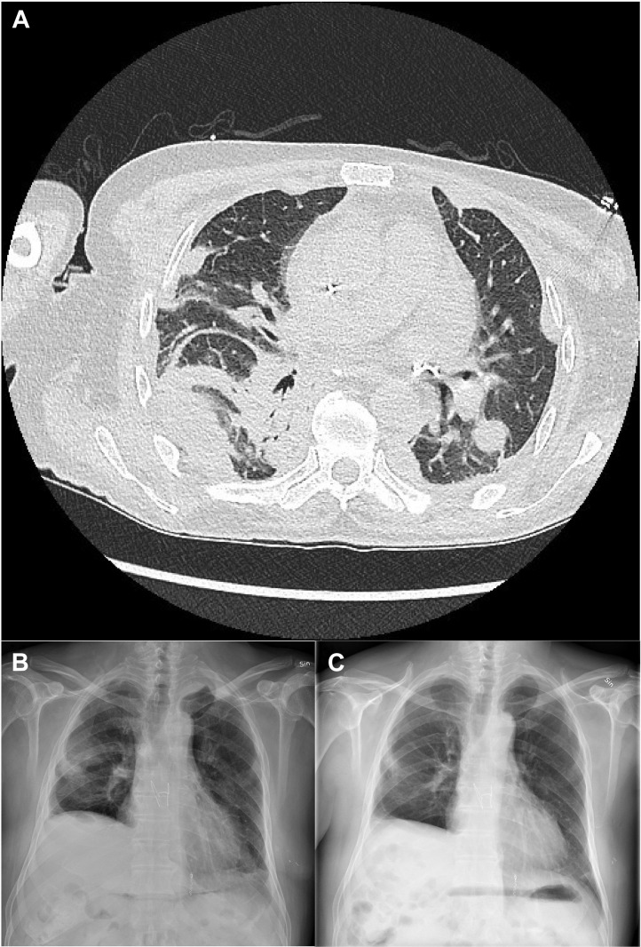 Figure 2