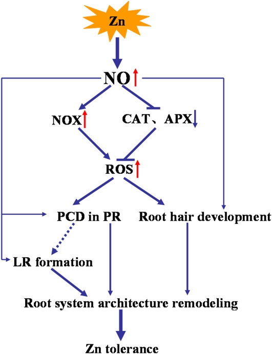 Figure 9.