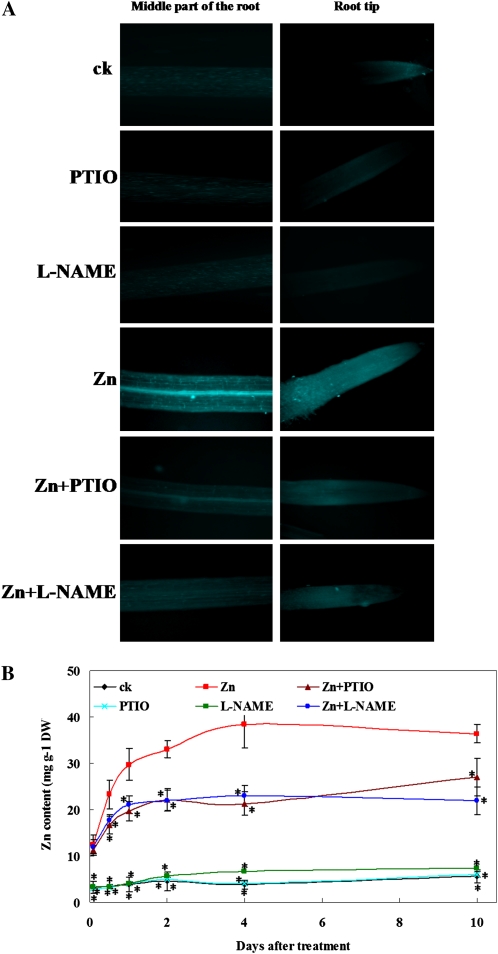 Figure 6.